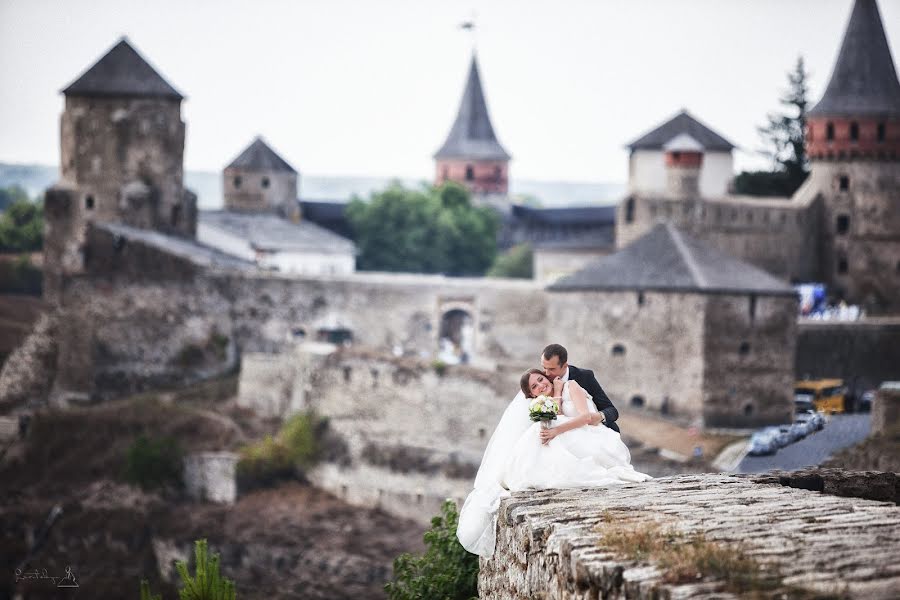 Wedding photographer Andrey Levickiy (lion78). Photo of 19 November 2015