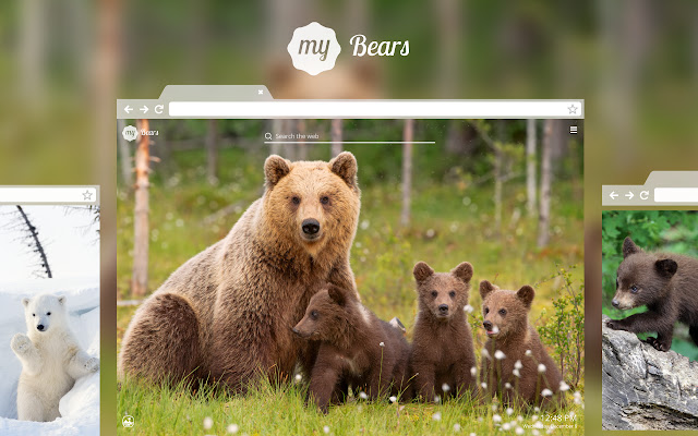 My Bears - Cute Bear & Cub Wallpapers New Tab