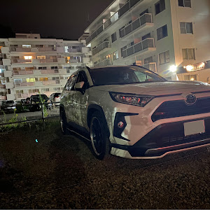 RAV4 MXAA54