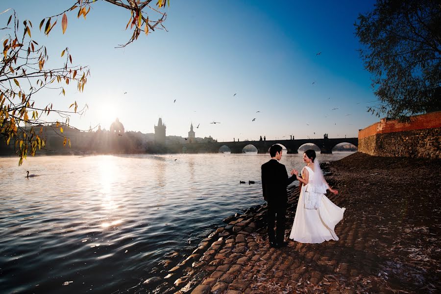 Fotografo di matrimoni Sergey Art (prahaart). Foto del 23 novembre 2016