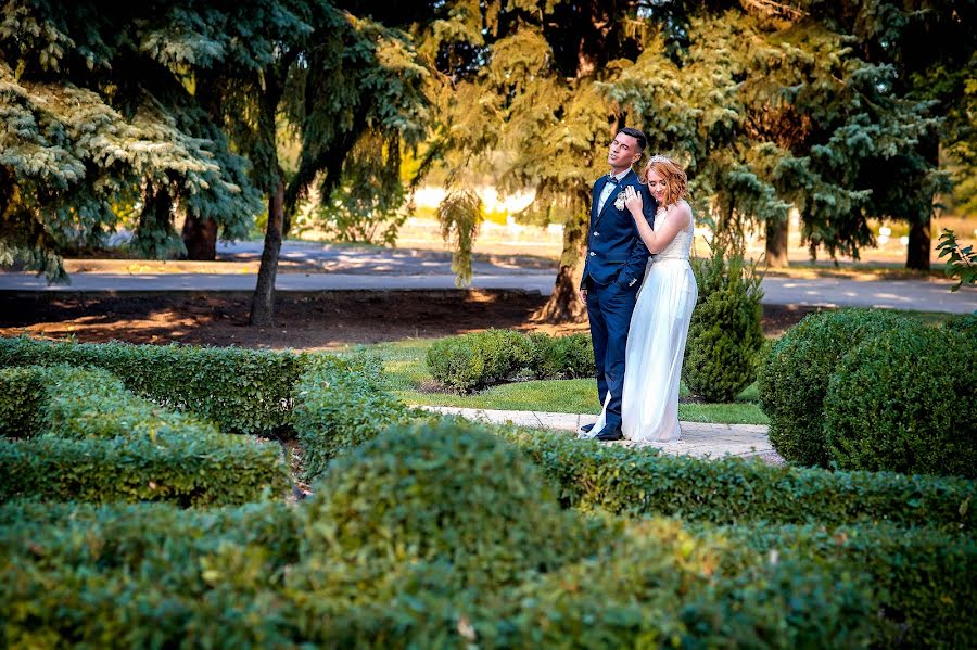 Photographe de mariage Michael Drapak (drapakphoto). Photo du 7 novembre 2017