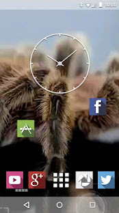 Spider in Phone Live Wallpaper(圖1)-速報App