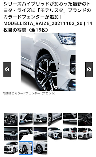 ライズ200系/210系】カラードフェンダー（ADVANCE BLAST STYLE