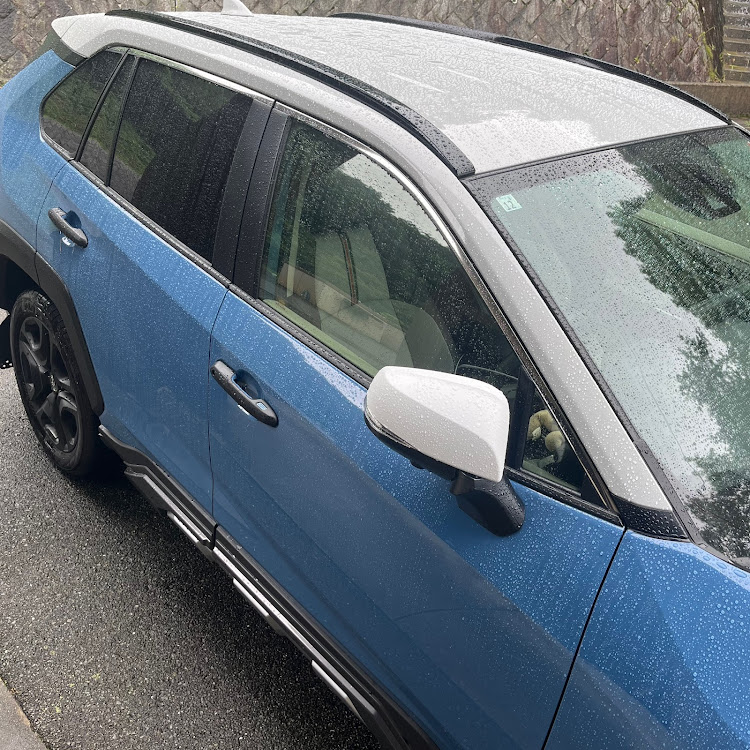 RAV4のグレイッシュブルー・DIYに関するカスタム事例の投稿画像6枚目