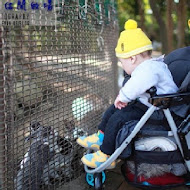 【羊世界教學休閒牧場】勇伯台灣羊庭園餐廳