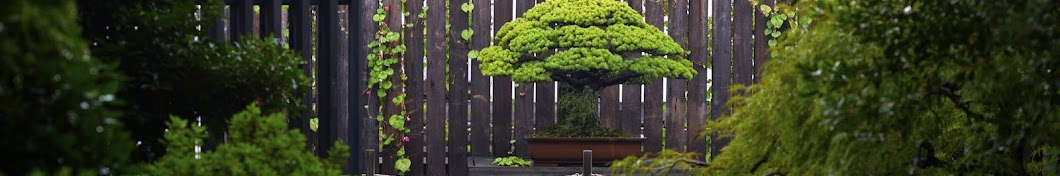 Bonsai Empire Banner