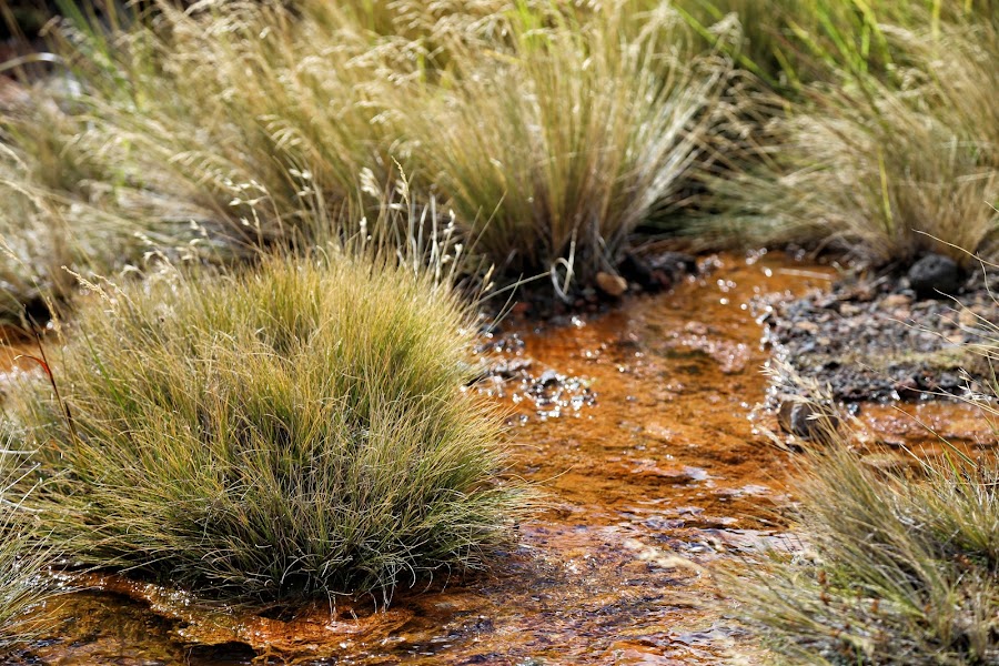 Tongariro Alpine Crossing