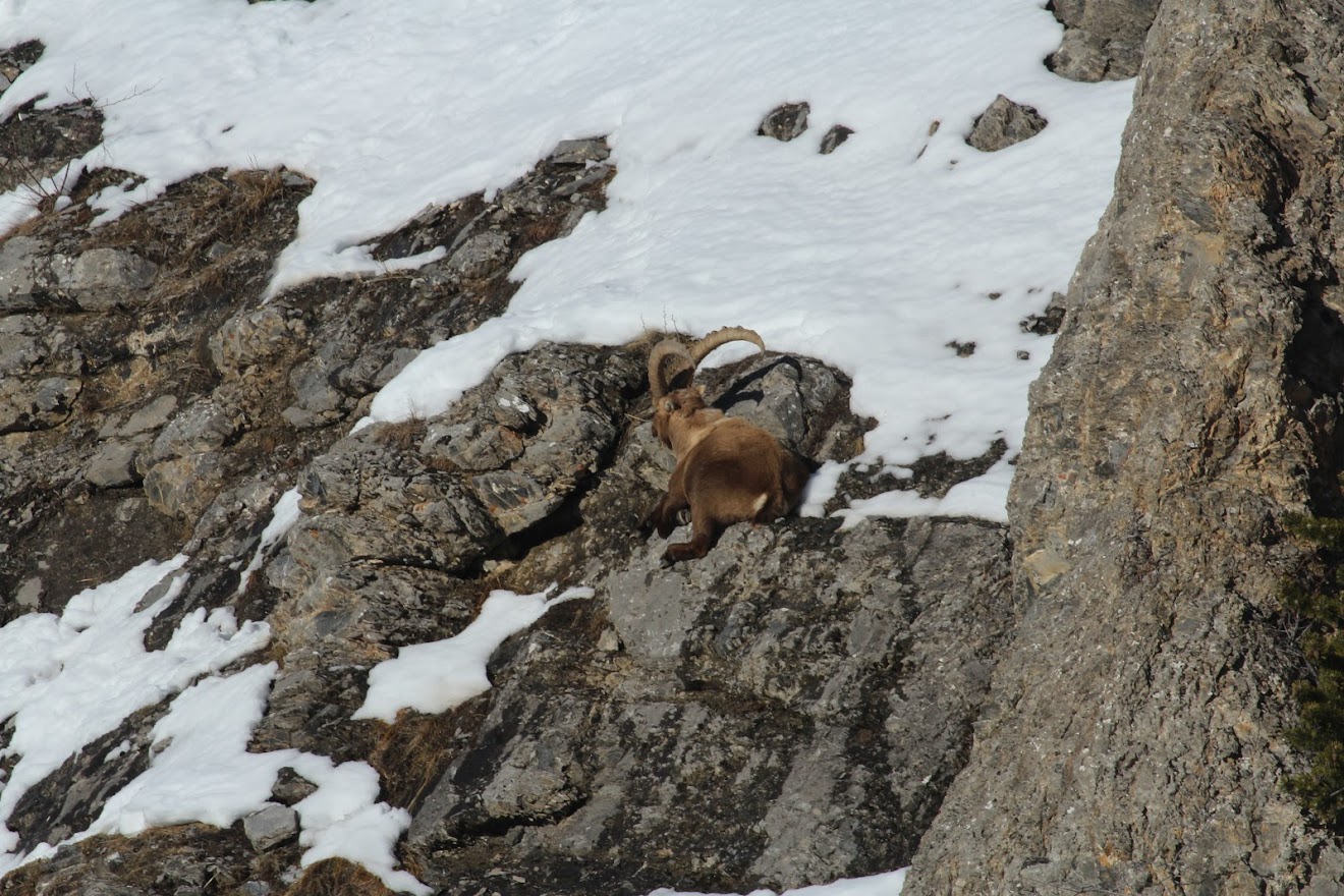 Rando au massif de Cercé - Page 2 FH8Cf59vJeLG6RimoChff3TjleBw5VL6TLk7eUWTm5V1sts23Uei2fZi8IG23w-wzEcPGbJJtfvAdqPgmAYN28O57nPNUObx2aL3aQOMkd-vvuj0oOL0CZ48-5mkh2xkd6dTSqHwmVRP-n2vFRq4dxuPhRHDeVd334VkTEscaBCcVnGgyDS6jv-0zzeg4sPjF_vif-FpyA9TFVcqvCjvM3_gRrQ-WTssfnf_-MNMpWTuEVAhrXfOo-1BnHe--isCQGMY--_B-QzRlRRuJvFEVBypI7oy2jvziRIUBH5ugzE4H7pmXZfgLXGHvbLbrecvA1vtxtJEd7Zhe5mZIzpnVJ_BUF6xXpfQvXH447hBz0QUb_0yDclnhG54xPhpxIUasxU41WFCeSRXHe1Q2EuCemKCpgsi07bPZlvTFV2EuKQo3aSf5YXyGVWtfQOhHKDGo3HYLwMxiltAU_kBwCRaJbB25b_tAO9AuhCVHjHrqnkI4JQ59jQsohvQwmGay3uFzgteJdOerI2iat4k6zq0rYkvy3X-oSYqh5ltyjguG-ZdFVOib3v19B1MJr3B8RL0jD9Z5g=w1320-h880-no