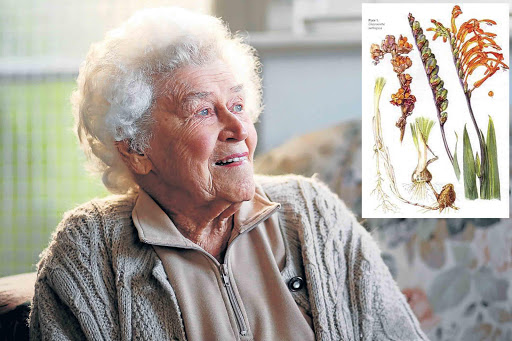 SCIENCE OF FLOWERS: World renowned botanical artist Dr Auriol Batten, who illustrated several books on flowers of the Eastern Cape and South Africa, died of a heart attack on Tuesday night aged 97. INSET: ’Chasmanthe aethiopica’ as illustrated by Auriol Batten Picture: ALAN EASON