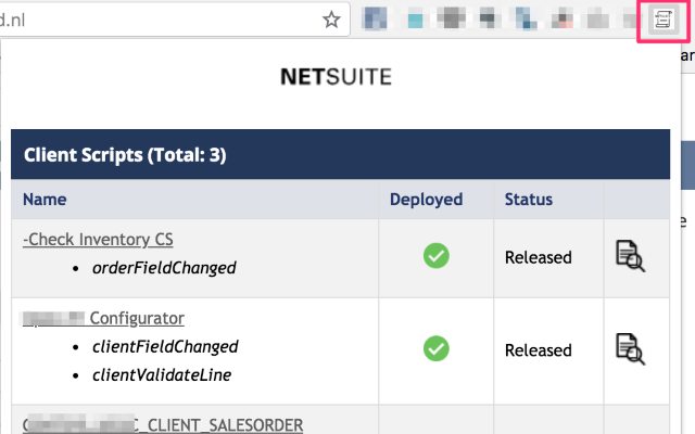 NetSuite Scripted Records Preview image 0