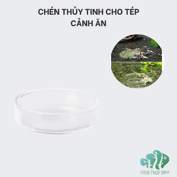 [Mã Pet20K Giảm 20K Đơn 250K] Chén Thủy Tinh Cho Tép Cảnh Ăn