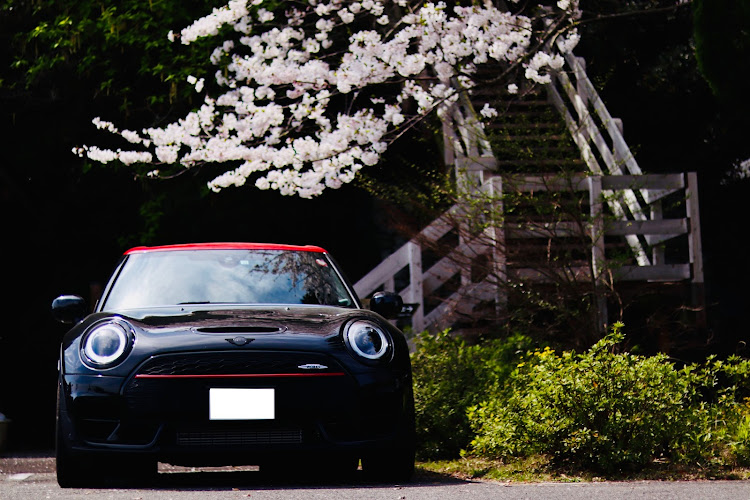 ミニ クラブマンのMINI JCW CLUBMAN・ジョンクーパーワークス・MINI・サクラと愛車・MINIと桜に関するカスタム事例の投稿画像1枚目