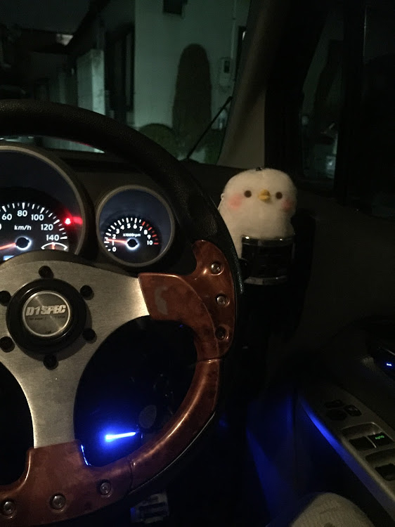 ワゴンRのとうとうピスケ隊長来ました^_^・皆様お付き合いくださいwに関するカスタム事例の投稿画像1枚目