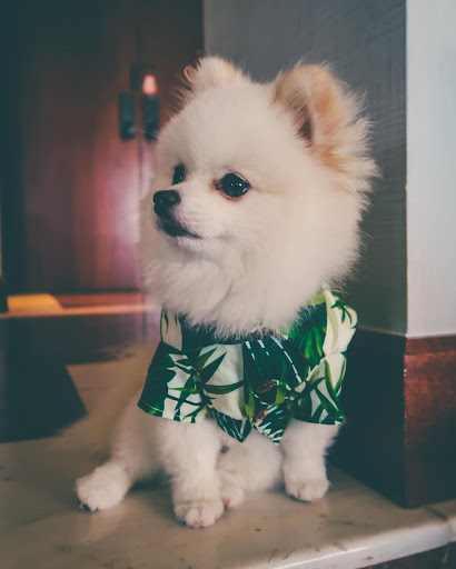 miniatures image - 3