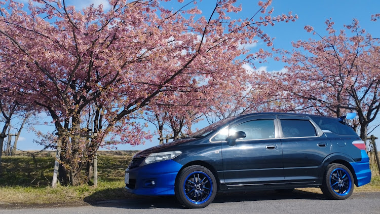 エアウェイブの河津桜に関するカスタム事例の投稿画像8枚目