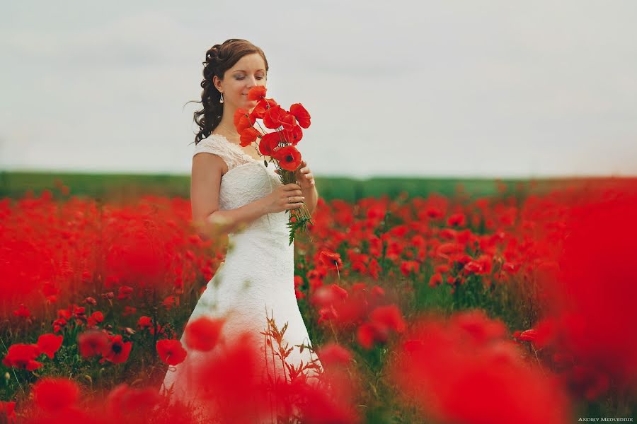 Wedding photographer Andrey Medvedyuk (medvediuk). Photo of 13 June 2014