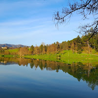 Riflessi lacustri primaverili