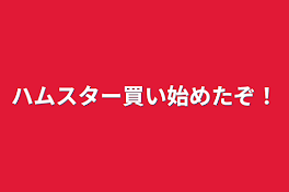 ハムスター買い始めたぞ！