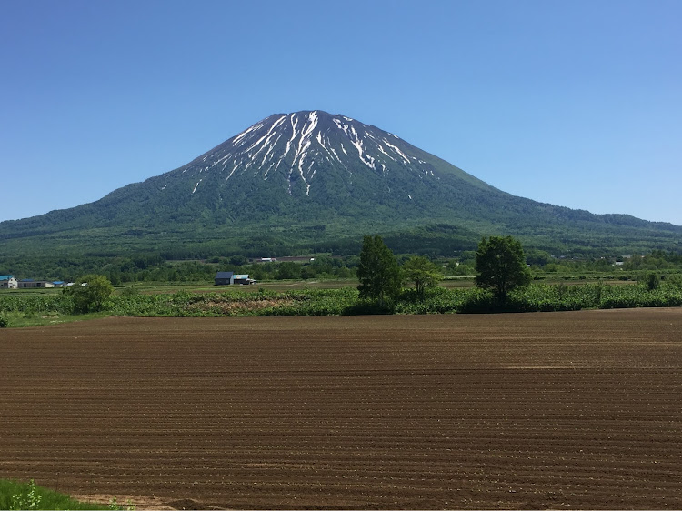 の投稿画像11枚目