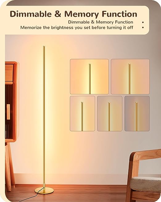 Dimmable and memory function- edishine