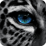 Cover Image of Tải xuống Snow Leopard Wallpaper 1.5 APK