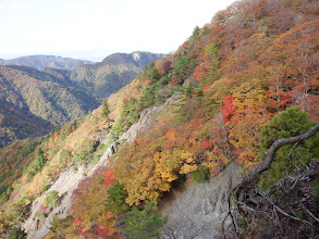 この日一番の紅葉