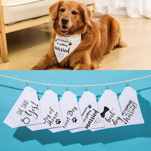 My Humans are Getting Married Dog Bandana Over the Collar for Easy Leash Attached Engagement Dog Bandana Adjustable Dog 