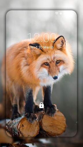Fox Wallpaper HD  backgrounds  themes