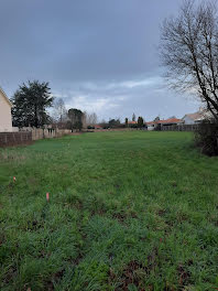 maison neuve à Les Moutiers-en-Retz (44)