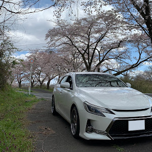 マークX GRX130系