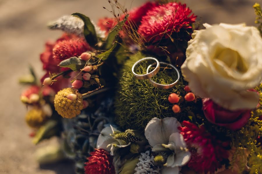 Fotógrafo de casamento Kamil Turek (kamilturek). Foto de 11 de setembro 2017