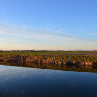 Riflessi delle terre di casa mia 