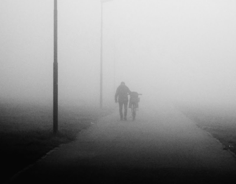 Passeggiando...lentamente...nella nebbia! di ayrton73