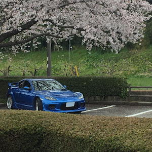 RX-8 SE3P