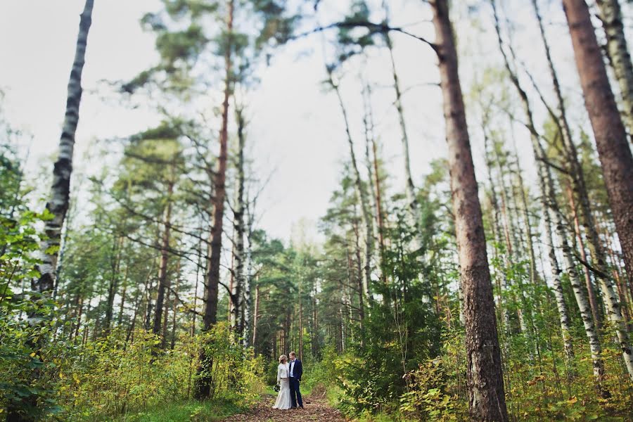 Bryllupsfotograf Tatyana Safronova (runa). Bilde av 14 april 2017