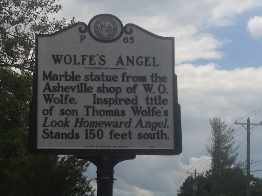 Wolfe's Angel