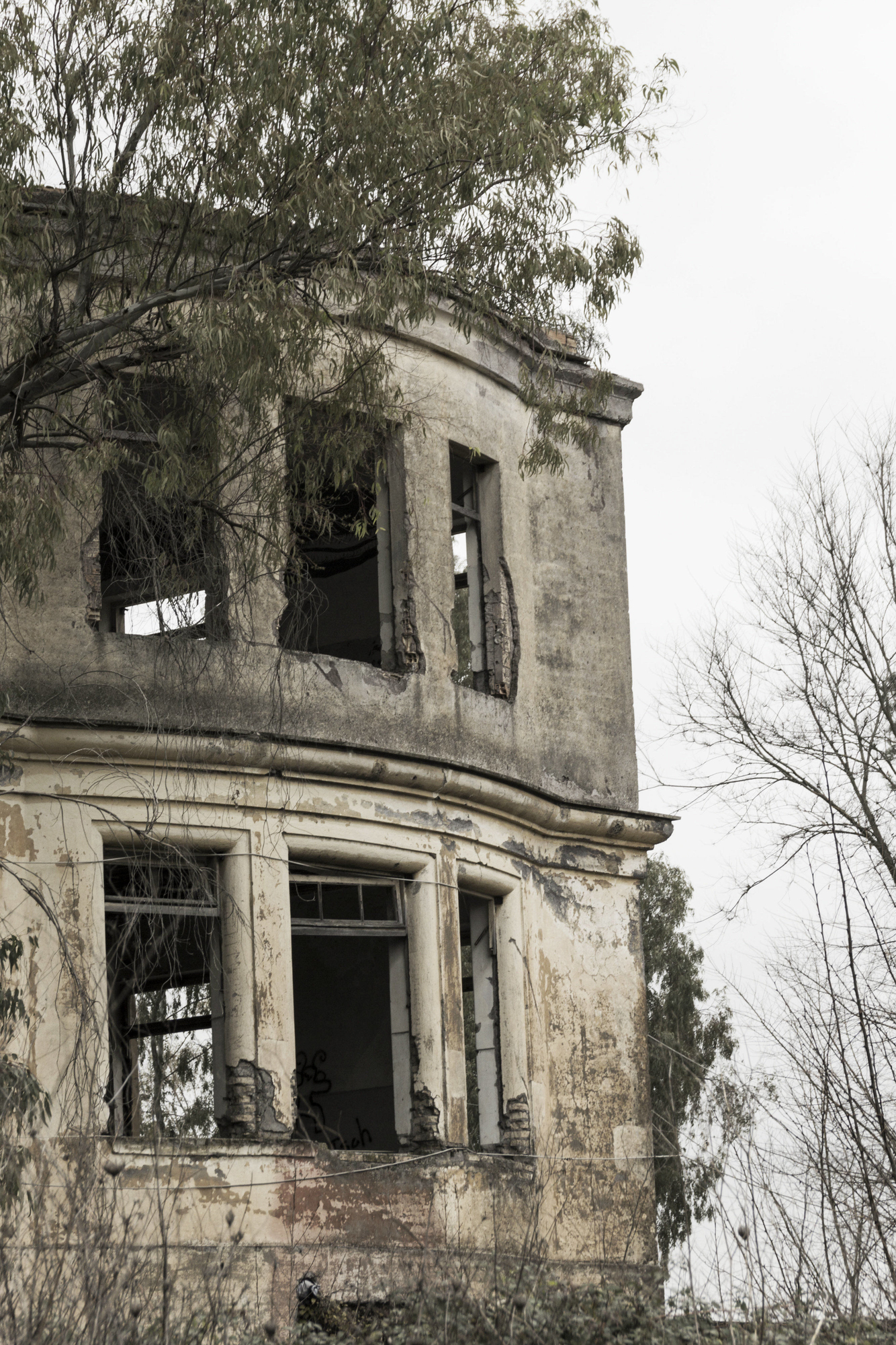 La casa stregata di deborah marchese ragona