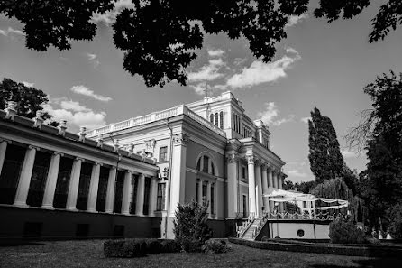 Fotografo di matrimoni Viktoriya Petrenko (vi4i). Foto del 5 novembre 2017