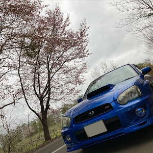 インプレッサ WRX STI GDB