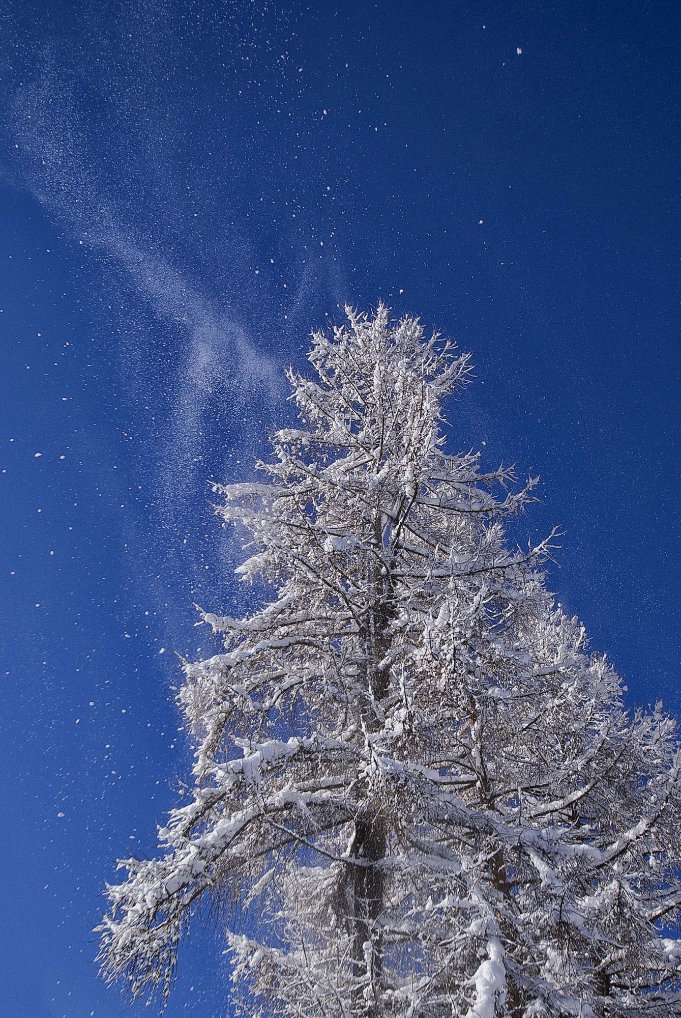 Galassia di neve di Tiziana Detoni