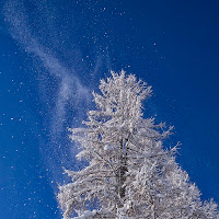 Galassia di neve di 