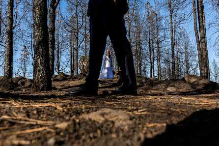 Fotógrafo de bodas Isidro Cabrera (isidrocabrera). Foto del 10 de noviembre 2017