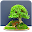 Bonsai Plants Download on Windows