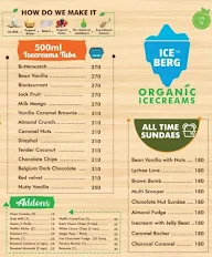 Iceberg Organic Ice Creams menu 2