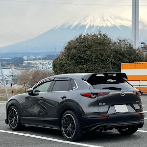 CX-30 DMEP