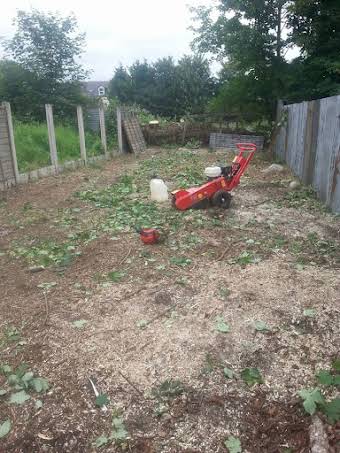 Stump Grinding album cover