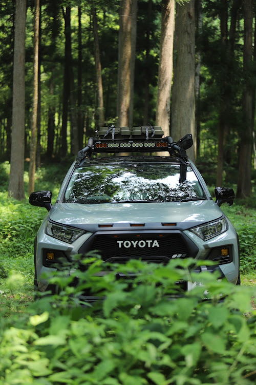 RAV4の昼間は暑い・夜は涼しい・虫がすごい・キャンプは楽しいに関するカスタム事例の投稿画像2枚目