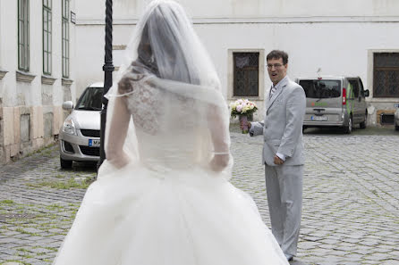 Fotografo di matrimoni Eszter Semsei (esztersemsei). Foto del 10 giugno 2016