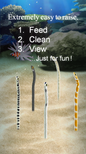 Garden Eel Pet 1.4 Windows u7528 2