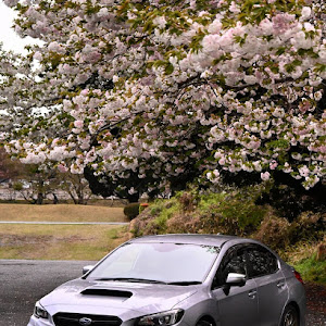 WRX STI VAB